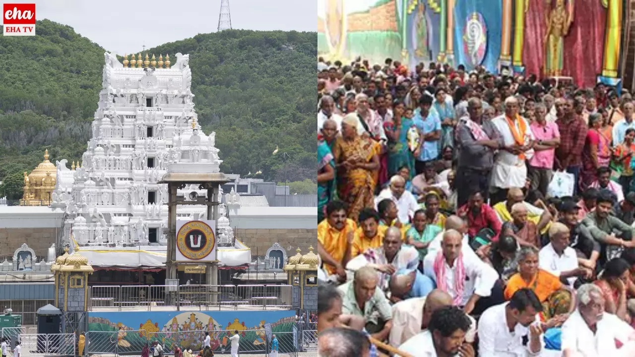 Tirumala Devotees Rush : తిరుమలలో పెరిగిన భక్తుల రద్దీ.. Tirumala Devotees Rush : తిరుమలలో పెరిగిన భక్తుల రద్దీ..