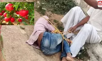 Telangana : దానిమ్మ పండు తెంపాడని దళిత బాలుడిపై దాడి Telangana : దానిమ్మ పండు తెంపాడని దళిత బాలుడిపై దాడి