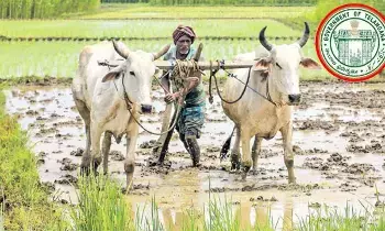 Telangana : నేడు రెండో విడత రైతు రుణమాఫీ Telangana : నేడు రెండో విడత రైతు రుణమాఫీ