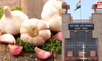 Garlic Vegetable or Spice:ఇంతకీ వెల్లుల్లిది ఏ కేటగిరి? కూరగాయా? మసాలా దినుసా ? న్యాయస్థానం ఏం చెప్పంది? Garlic Vegetable or Spice:ఇంతకీ వెల్లుల్లిది ఏ కేటగిరి? కూరగాయా? మసాలా దినుసా ? న్యాయస్థానం ఏం చెప్పంది?