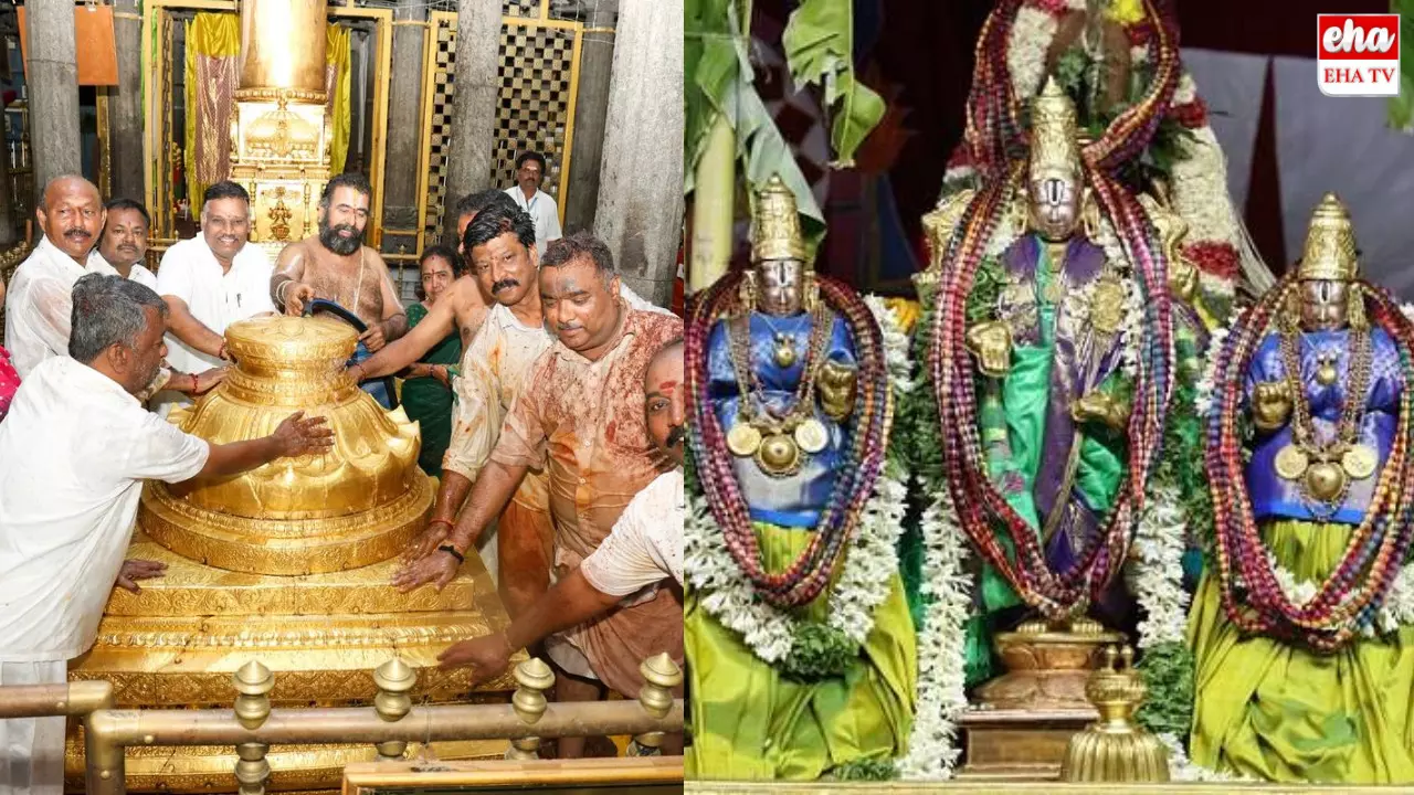 Pavitrosthavam : తిరుపతి వెళుతున్న భక్తులకు గమనిక.. ఆ మూడు రోజులూ పద్మావతి పవిత్రోత్సాలు Pavitrosthavam : తిరుపతి వెళుతున్న భక్తులకు గమనిక.. ఆ మూడు రోజులూ పద్మావతి పవిత్రోత్సాలు
