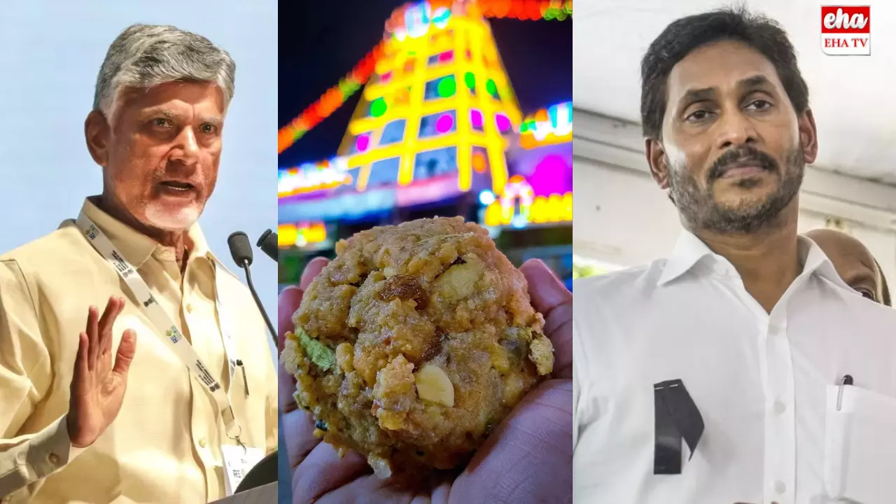 YS Jagan Press Meet.? : తిరుమల లడ్డూ వివాదంపై క్లారిటీ ఇవ్వనున్న జగన్! YS Jagan Press Meet.? : తిరుమల లడ్డూ వివాదంపై క్లారిటీ ఇవ్వనున్న జగన్!