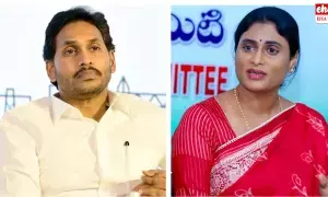 Ys Jagan Sensational Decision:షర్మిలతో గొడవ... సంచలన నిర్ణయం తీసుకున్న జగన్ Ys Jagan Sensational Decision:షర్మిలతో గొడవ... సంచలన నిర్ణయం తీసుకున్న జగన్