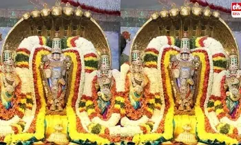 Tirumala nagula chavthi Celebraations : ఈ రోజు పెద్ద శేష వాహనంపై మలయప్ప స్వామి Tirumala nagula chavthi Celebraations : ఈ రోజు పెద్ద శేష వాహనంపై మలయప్ప స్వామి