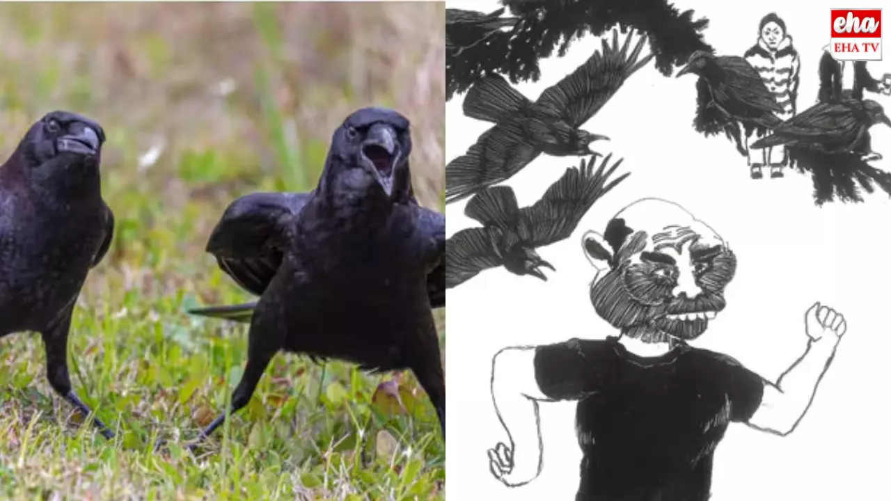 Crow : కాకులు పగబటతాయి...ప్రతీకారం తీర్చుకుంటాయి! Crow : కాకులు పగబటతాయి...ప్రతీకారం తీర్చుకుంటాయి!