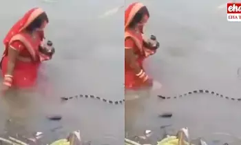 Chath Puja : భక్తురాలిని ఏం చేయకుండా పక్క నుంచి వెళ్లిపోయిన పాము... ! Chath Puja : భక్తురాలిని ఏం చేయకుండా పక్క నుంచి వెళ్లిపోయిన పాము... !