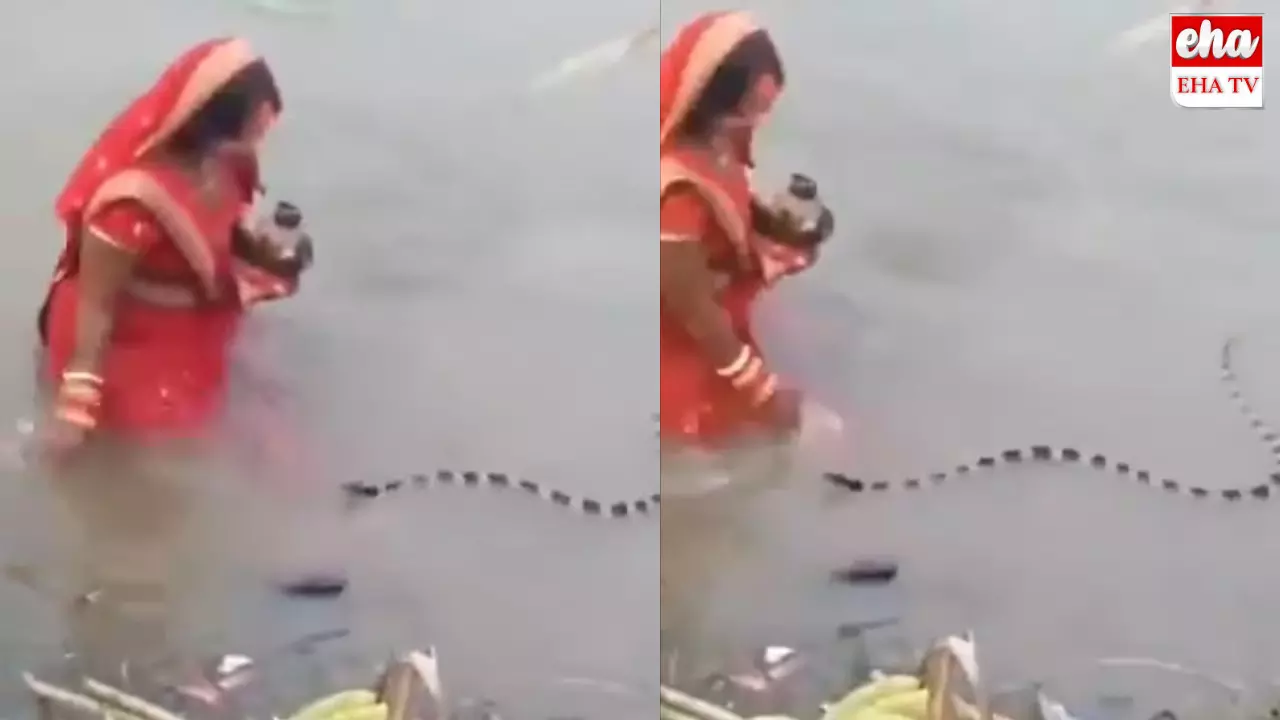 Chath Puja : భక్తురాలిని ఏం చేయకుండా పక్క నుంచి వెళ్లిపోయిన పాము... ! Chath Puja : భక్తురాలిని ఏం చేయకుండా పక్క నుంచి వెళ్లిపోయిన పాము... !