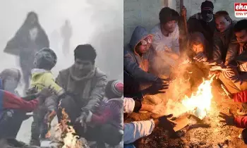 Telangana Cold Wave : చలికి వణుకుతున్న తెలంగాణ!