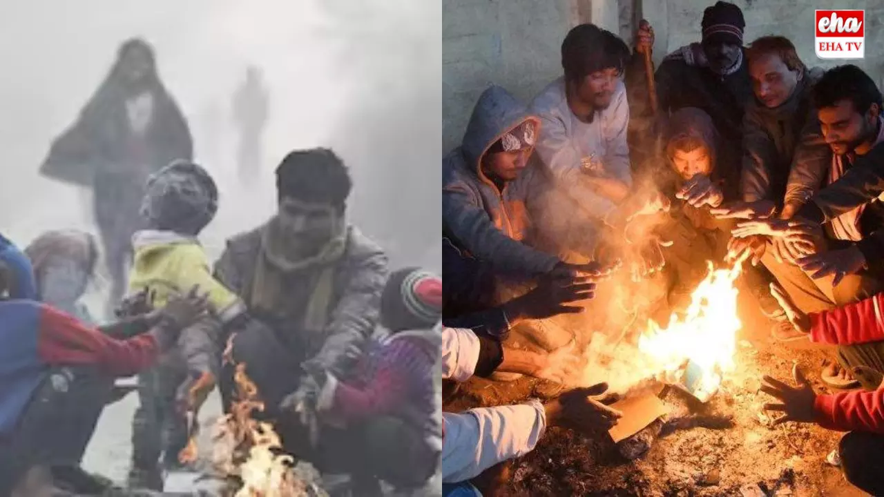 Telangana Cold Wave : చలికి వణుకుతున్న తెలంగాణ! Telangana Cold Wave : చలికి వణుకుతున్న తెలంగాణ!
