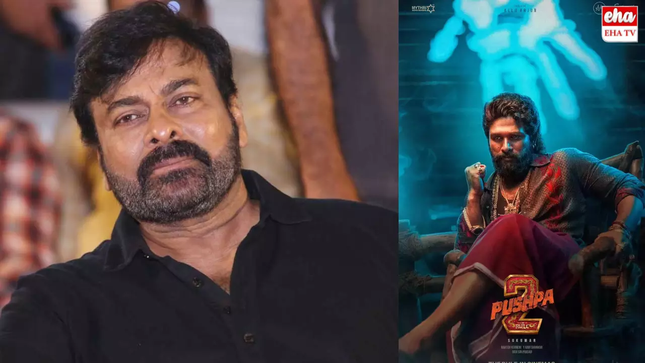 Pushpa 2 Pre Release Event: పుష్ప 2 ప్రీ రిలీజ్ ఈవెంట్.. నో చెప్పేసిన చిరంజీవి? Pushpa 2 Pre Release Event: పుష్ప 2 ప్రీ రిలీజ్ ఈవెంట్.. నో చెప్పేసిన చిరంజీవి?