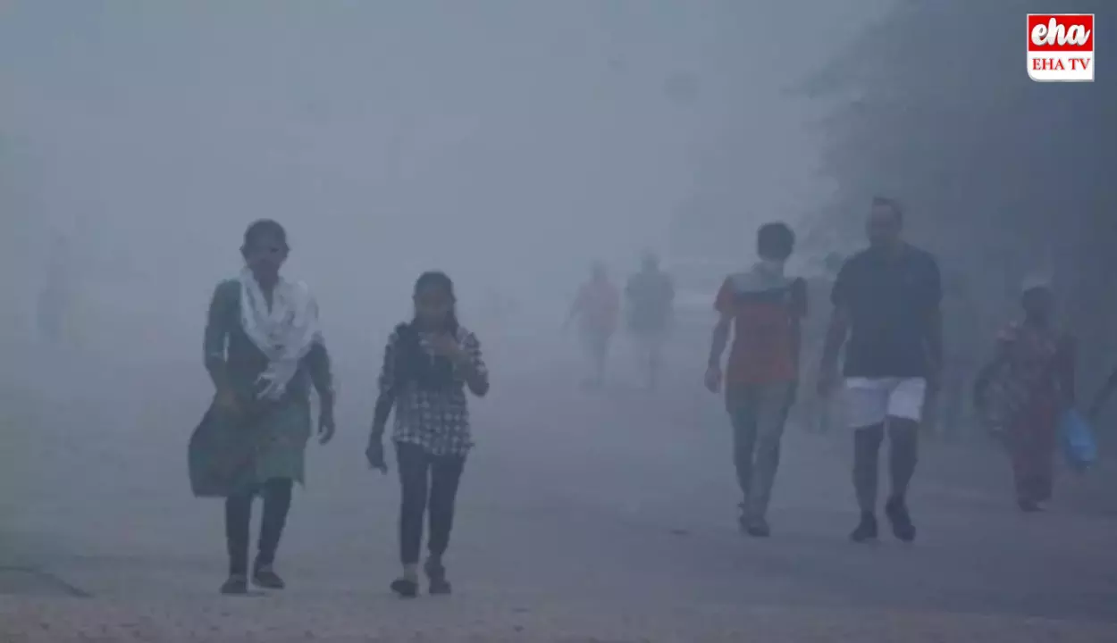 Today Weather Updates: తెలుగురాష్ట్రాల్లో చలిపులి Today Weather Updates: తెలుగురాష్ట్రాల్లో చలిపులి