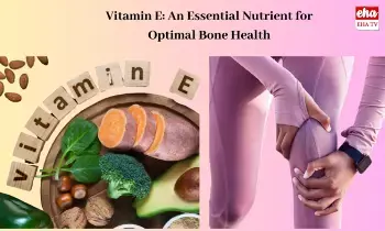 Winter Wellness: చలికాలం ఎముకలు దృఢంగా ఉండాలంటే ఆ 4 ఎంతో ముఖ్యం. Winter Wellness: చలికాలం ఎముకలు దృఢంగా ఉండాలంటే ఆ 4 ఎంతో ముఖ్యం.