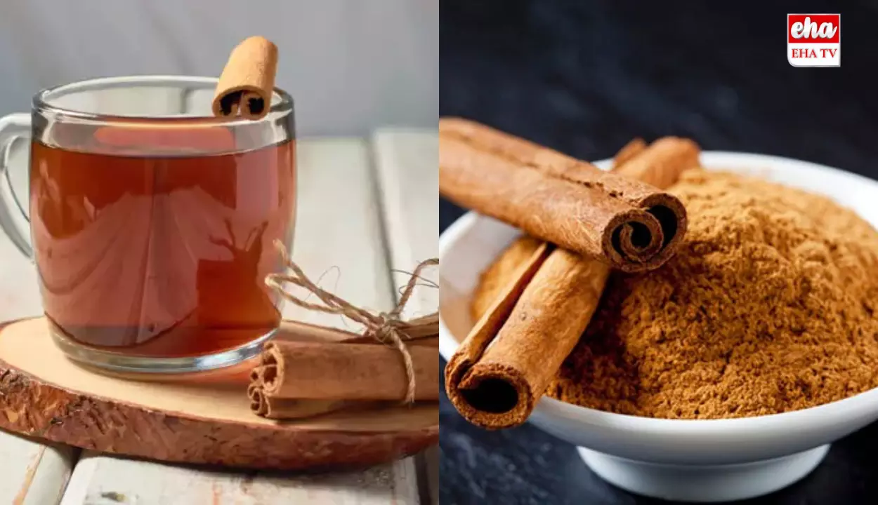 Cinnamon Water Benefits: ఉదయాన్నే దాల్చిన చెక్క నీటిని తాగితే ఎన్ని ప్రయోజనాలో తెలుసా..! Cinnamon Water Benefits: ఉదయాన్నే దాల్చిన చెక్క నీటిని తాగితే ఎన్ని ప్రయోజనాలో తెలుసా..!