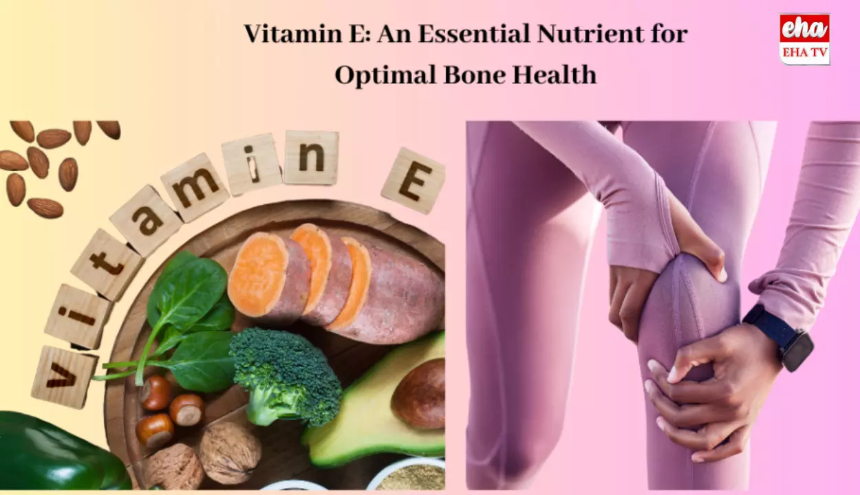 Winter Wellness: చలికాలం ఎముకలు దృఢంగా ఉండాలంటే ఆ 4 ఎంతో ముఖ్యం. Winter Wellness: చలికాలం ఎముకలు దృఢంగా ఉండాలంటే ఆ 4 ఎంతో ముఖ్యం.
