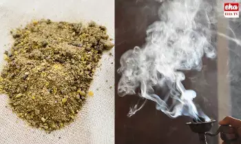 Benefits of Sambrani: సాంబ్రాణితో ఏడు రోజుల్లో ఒక్కో రోజు ఒక్కో ఫలితం పొందవచ్చు. Benefits of Sambrani: సాంబ్రాణితో ఏడు రోజుల్లో ఒక్కో రోజు ఒక్కో ఫలితం పొందవచ్చు.