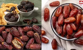 Winter Dry Fruit Dates : చలికాలంలో ఖర్జూరం తినడం మంచి ఆలోచనా..? Winter Dry Fruit Dates : చలికాలంలో ఖర్జూరం తినడం మంచి ఆలోచనా..?