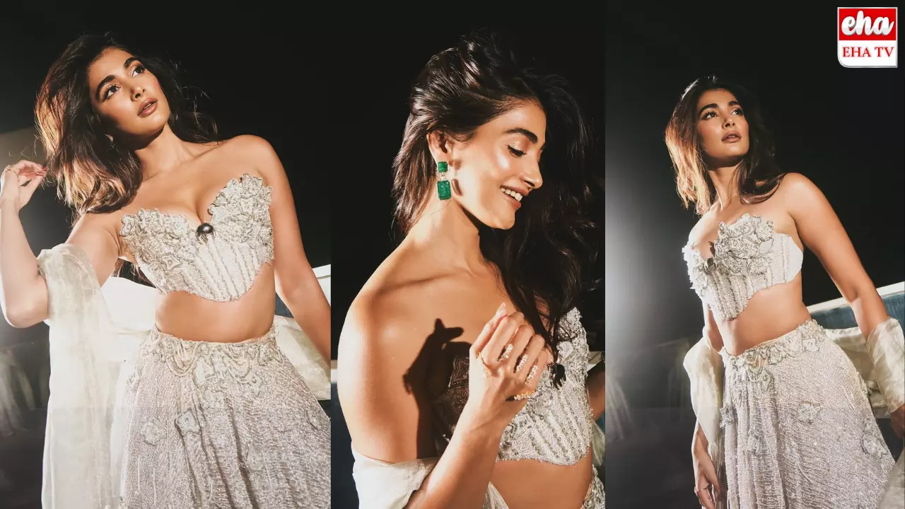 Pooja Hegde : టాలీవుడ్ నుండి బాలీవుడ్ వరకు బిజీ షెడ్యూల్