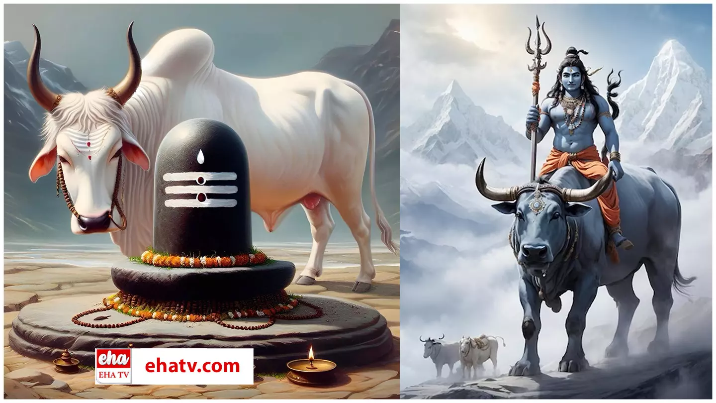 The Significance of Nandi: నందికి ఎందుకంత ప్రత్యేకత The Significance of Nandi: నందికి ఎందుకంత ప్రత్యేకత