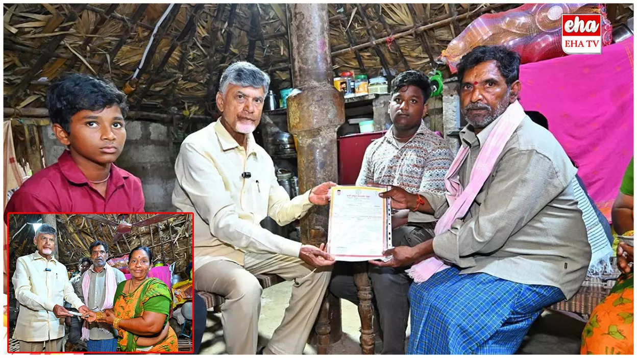 Big Shock To AP Pensioners : ఏపీలో 18,036 మంది పింఛన్లను తొలగించిన సర్కార్ Big Shock To AP Pensioners : ఏపీలో 18,036 మంది పింఛన్లను తొలగించిన సర్కార్