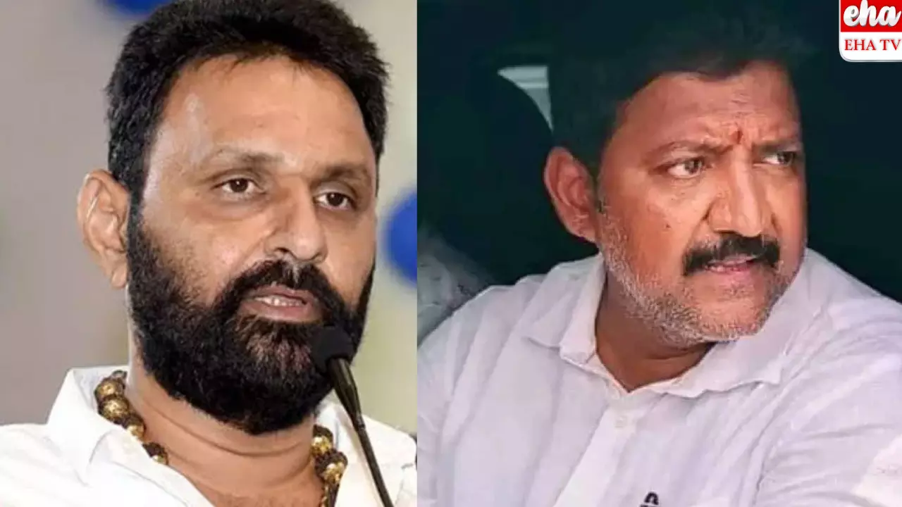 3 కాకుంటే 30 కేసులు పెట్టుకోమను: కొడాలి నాని 3 కాకుంటే 30 కేసులు పెట్టుకోమను: కొడాలి నాని