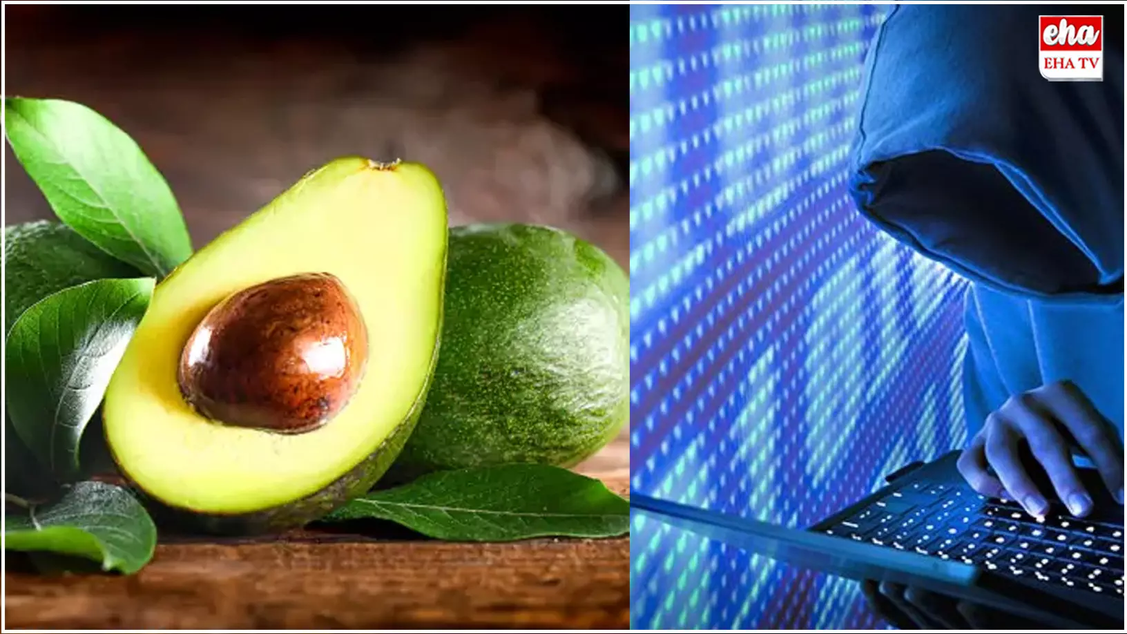 Avocado Purchase Scam : అవకాడోలు డెలివరీ చేస్తామని రూ.2.60 లక్షలు కాజేసిన సైబర్ నేరగాళ్లు Avocado Purchase Scam : అవకాడోలు డెలివరీ చేస్తామని రూ.2.60 లక్షలు కాజేసిన సైబర్ నేరగాళ్లు
