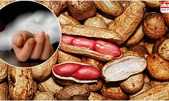 Four-year-old girl : చిన్నారి ప్రాణం తీసిన వేరుశనక్కాయ Four-year-old girl : చిన్నారి ప్రాణం తీసిన వేరుశనక్కాయ