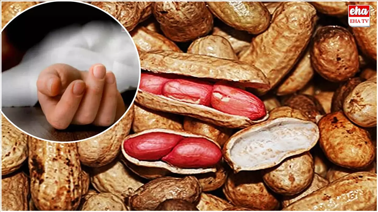 Four-year-old girl : చిన్నారి ప్రాణం తీసిన వేరుశనక్కాయ Four-year-old girl : చిన్నారి ప్రాణం తీసిన వేరుశనక్కాయ