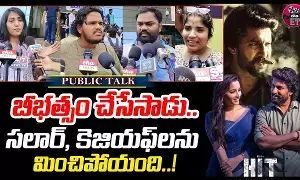 HIT 3 Movie Review : హిట్ పబ్లిక్ టాక్ ఇదే..! HIT 3 Movie Review : హిట్ పబ్లిక్ టాక్ ఇదే..!