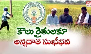 Annadata Sukhibhava Scheme : రైతులకు తీపి కబురు.. సీఎం కీలక ప్రకటన.! Annadata Sukhibhava Scheme : రైతులకు తీపి కబురు.. సీఎం కీలక ప్రకటన.!