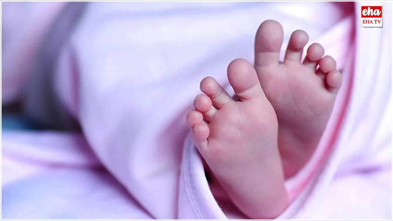 Pithapuram: రెండో పెళ్లికి అడ్డుగా ఉందని 5 నెలల పసికందును చంపేసిన అమ్మ, అమ్మమ్మ Pithapuram: రెండో పెళ్లికి అడ్డుగా ఉందని 5 నెలల పసికందును చంపేసిన అమ్మ, అమ్మమ్మ