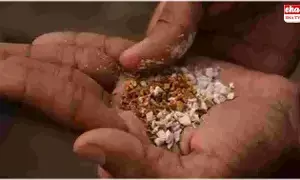 mokeless Tobacco : గుట్కా, ఖైనీ తయారీలో వాడే పదార్థాలు ఇవే.. తింటే డైరెక్ట్గా నిత్య నరకానికే..! mokeless Tobacco : గుట్కా, ఖైనీ తయారీలో వాడే పదార్థాలు ఇవే.. తింటే డైరెక్ట్గా నిత్య నరకానికే..!
