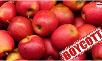 Turkish Apples : పూణేలో టర్కీ ఆపిల్స్ను బహిష్కరించిన వ్యాపారులు Turkish Apples : పూణేలో టర్కీ ఆపిల్స్ను బహిష్కరించిన వ్యాపారులు