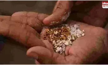 mokeless Tobacco : గుట్కా, ఖైనీ తయారీలో వాడే పదార్థాలు ఇవే.. తింటే డైరెక్ట్గా నిత్య నరకానికే..! mokeless Tobacco : గుట్కా, ఖైనీ తయారీలో వాడే పదార్థాలు ఇవే.. తింటే డైరెక్ట్గా నిత్య నరకానికే..!