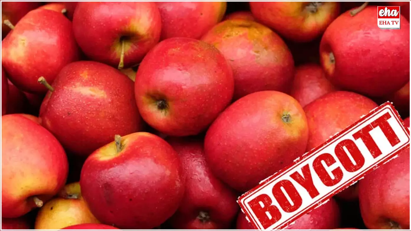 Turkish Apples : పూణేలో టర్కీ ఆపిల్స్‌ను బహిష్కరించిన వ్యాపారులు