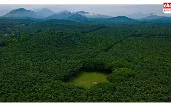 Palappilly Cricket Ground : పచ్చటి అడవుల మధ్య క్రికెట్ గ్రౌండ్.. ఎక్కడో చూద్దామా..! Palappilly Cricket Ground : పచ్చటి అడవుల మధ్య క్రికెట్ గ్రౌండ్.. ఎక్కడో చూద్దామా..!
