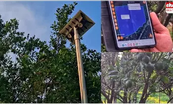 Orange Farming : దేశంలోనే తొలిసారి ఏఐతో యువరైతు నారింజ సాగు..! Orange Farming : దేశంలోనే తొలిసారి ఏఐతో యువరైతు నారింజ సాగు..!