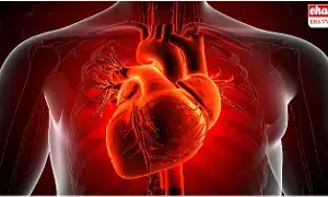 Cardiac Death : ఆకస్మిక గుండెపోటు మరణాలకు ఏఐతో చెక్... అమెరికా పరిశోధకుల కీలక ఆవిష్కరణ Cardiac Death : ఆకస్మిక గుండెపోటు మరణాలకు ఏఐతో చెక్... అమెరికా పరిశోధకుల కీలక ఆవిష్కరణ