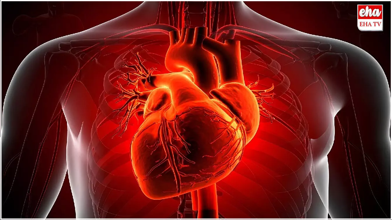 Cardiac Death : ఆకస్మిక గుండెపోటు మరణాలకు ఏఐతో చెక్... అమెరికా పరిశోధకుల కీలక ఆవిష్కరణ Cardiac Death : ఆకస్మిక గుండెపోటు మరణాలకు ఏఐతో చెక్... అమెరికా పరిశోధకుల కీలక ఆవిష్కరణ