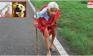 92-Year-Old Woman : టీకా కోసం 20 కి.మీ. నడిచిన 92 ఏళ్ల వృద్ధురాలు 92-Year-Old Woman : టీకా కోసం 20 కి.మీ. నడిచిన 92 ఏళ్ల వృద్ధురాలు