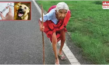 92-Year-Old Woman : టీకా కోసం 20 కి.మీ. నడిచిన 92 ఏళ్ల వృద్ధురాలు 92-Year-Old Woman : టీకా కోసం 20 కి.మీ. నడిచిన 92 ఏళ్ల వృద్ధురాలు