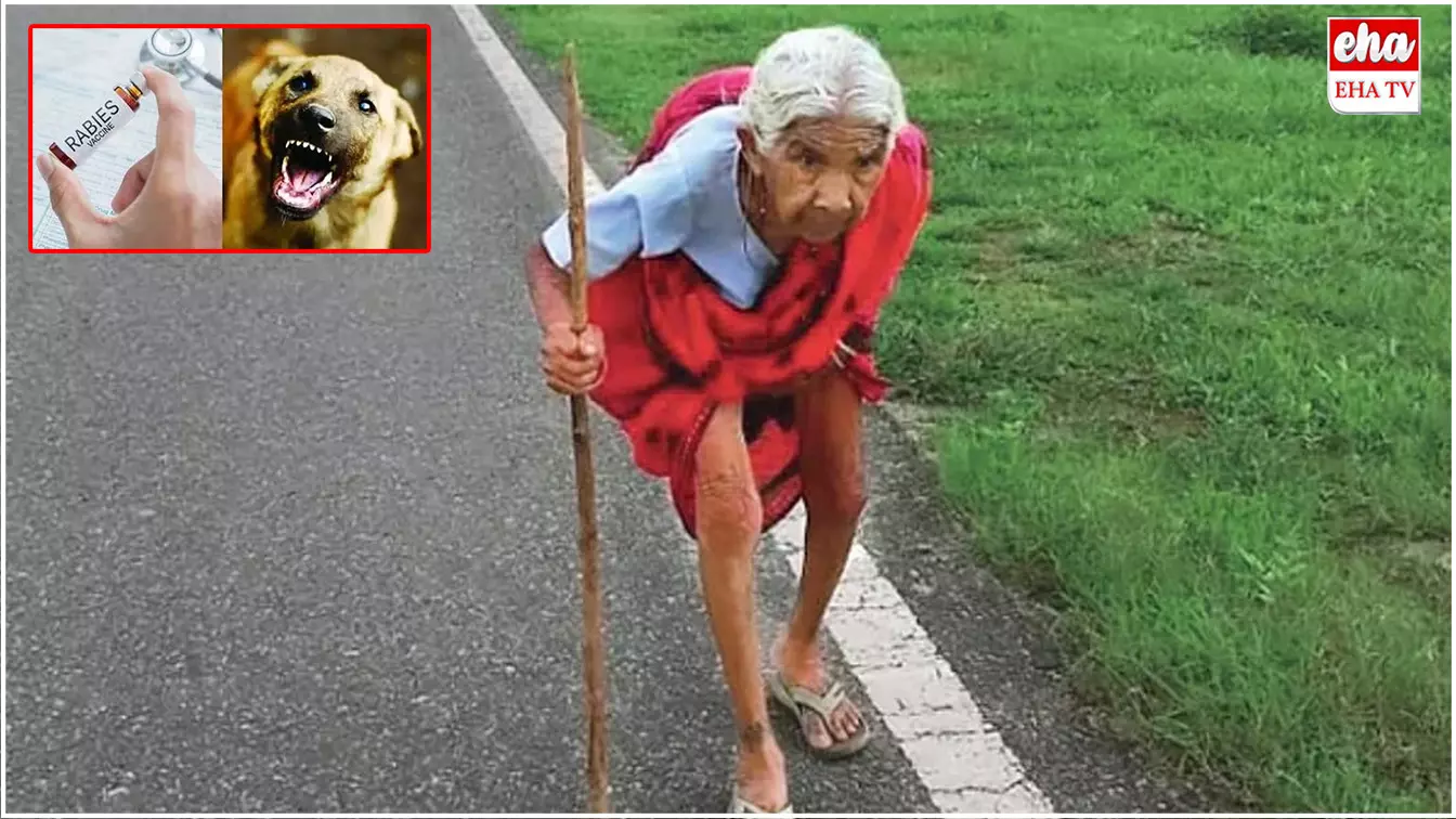 92-Year-Old Woman : టీకా కోసం 20 కి.మీ. నడిచిన 92 ఏళ్ల వృద్ధురాలు