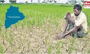 Telangana : తెలంగాణలో భారీగా తగ్గిన పంట సాగు విస్తీర్ణం Telangana : తెలంగాణలో భారీగా తగ్గిన పంట సాగు విస్తీర్ణం