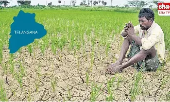 Telangana : తెలంగాణలో భారీగా తగ్గిన పంట సాగు విస్తీర్ణం Telangana : తెలంగాణలో భారీగా తగ్గిన పంట సాగు విస్తీర్ణం