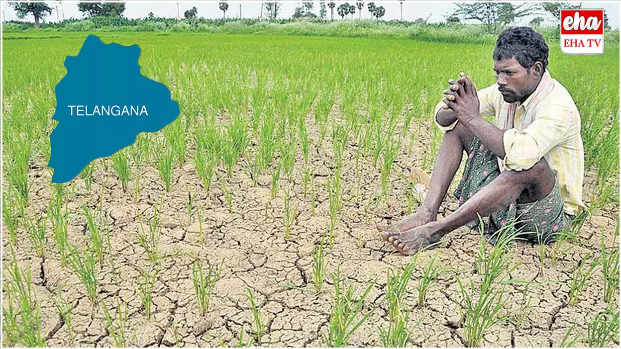 Telangana : తెలంగాణలో భారీగా తగ్గిన పంట సాగు విస్తీర్ణం Telangana : తెలంగాణలో భారీగా తగ్గిన పంట సాగు విస్తీర్ణం