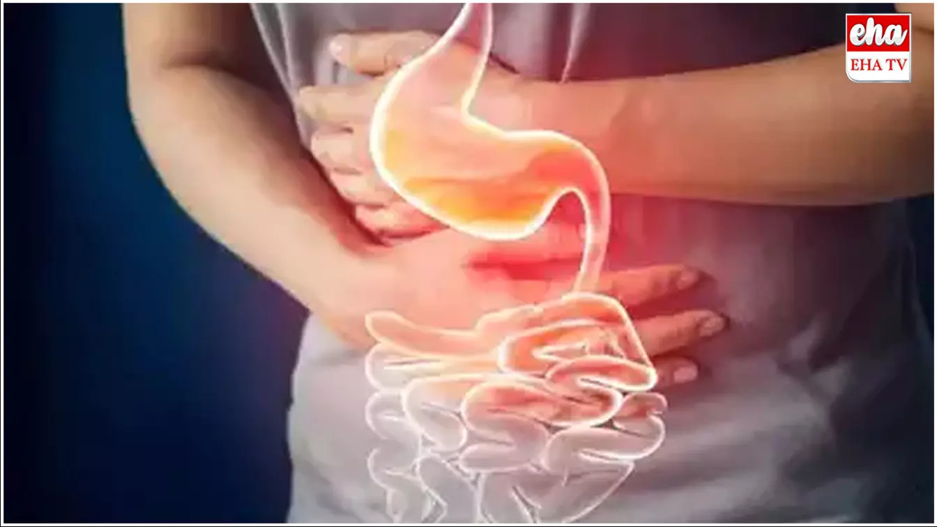 Constipation : ఈ ఒక్క చిట్కాతో మలబద్దకం మాయం..! Constipation : ఈ ఒక్క చిట్కాతో మలబద్దకం మాయం..!