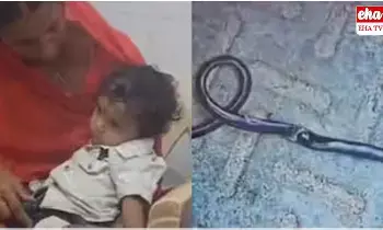 Bites Cobra to Death : నాగుపామును కొరికి చంపిన ఏడాది బాలుడు..! Bites Cobra to Death : నాగుపామును కొరికి చంపిన ఏడాది బాలుడు..!
