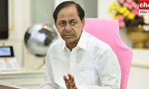 KCR Comments: బనకచర్ల ప్రాజెక్టును అడ్డుకోవాల్సిందే.. కేసీఆర్ కీలక వ్యాఖ్యలు..! KCR Comments: బనకచర్ల ప్రాజెక్టును అడ్డుకోవాల్సిందే.. కేసీఆర్ కీలక వ్యాఖ్యలు..!