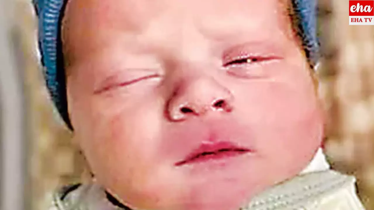 1994 IVF: 1994లో పిండం భద్రపర్చగా.. ఇప్పుడు శిశివుగా జననం..! 1994 IVF: 1994లో పిండం భద్రపర్చగా.. ఇప్పుడు శిశివుగా జననం..!
