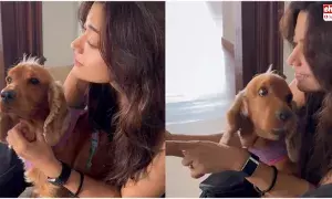 Rashmika Mandanna : ఎంగేజ్మెంట్ రింగ్ను చూపించిన రష్మిక.. ఇకపై రష్మిక దేవరకొండ...! Rashmika Mandanna : ఎంగేజ్మెంట్ రింగ్ను చూపించిన రష్మిక.. ఇకపై రష్మిక దేవరకొండ...!