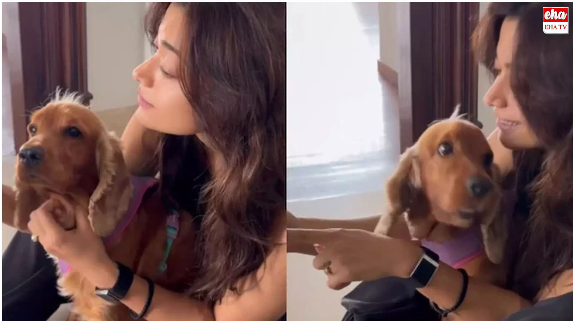 Rashmika Mandanna : ఎంగేజ్మెంట్ రింగ్ను చూపించిన రష్మిక.. ఇకపై రష్మిక దేవరకొండ...! Rashmika Mandanna : ఎంగేజ్మెంట్ రింగ్ను చూపించిన రష్మిక.. ఇకపై రష్మిక దేవరకొండ...!